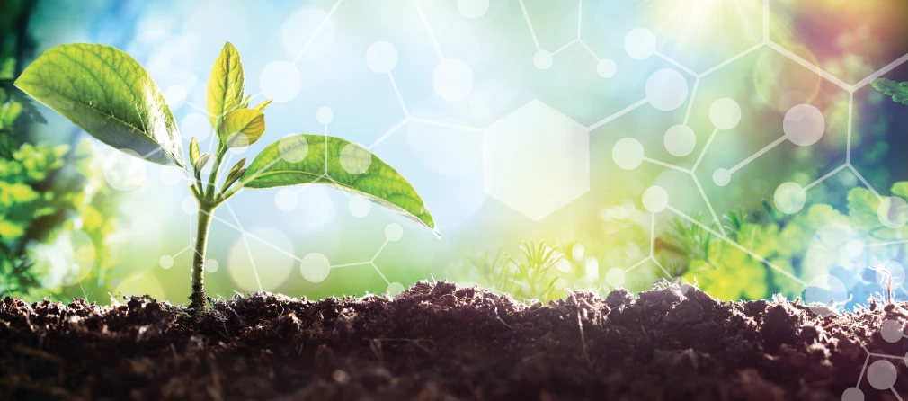 Picture Organic Sales Shop 27 Picture Organic Sales Shop -Picture Organic Sales Shop 1